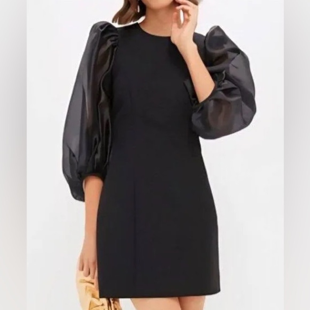 Tuckernuck Black Mini Dress with Sheer Sleeves Harriet Dress